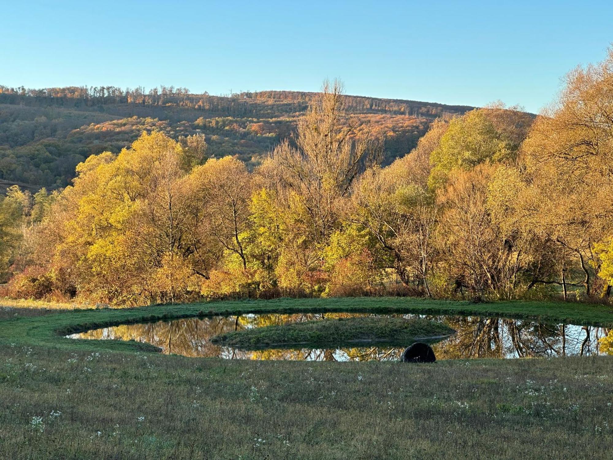 Kingsdale Farm Guest House Jasd Екстер'єр фото